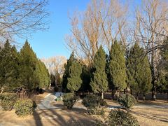 -东升八家郊野公园