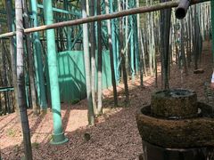 -陶祖圣境风景区