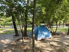 -绿堤公园