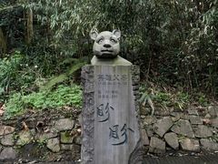 -都江堰中华大熊猫苑