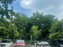 -樽宴酒楼·地道川菜·品质宴请