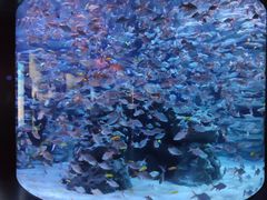 -成都浩海立方海洋公园