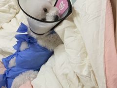 -美联众合动物医院·24h转诊中心