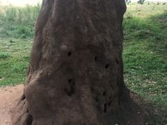 -米内日亚国家公园