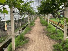 -美家乐农庄·露营·团建(大治路店)