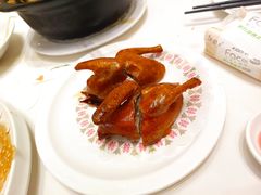 红烧乳鸽-君德澜酒家·创意粤菜(金山谷店)