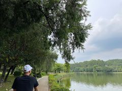 -南国桃园旅游度假区