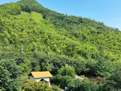 -看见远方·莫干遥远的山民宿