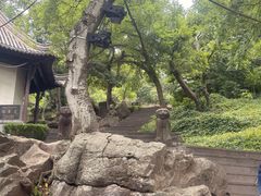-第一山景区