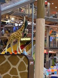 -卡通尼·Safari非洲探索乐园·生日会(金桥国际商业广场店)