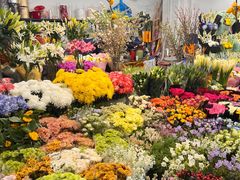 -双季花艺园艺市场(浦东店)