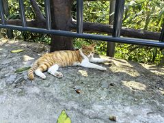 -终南山南五台景区