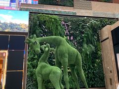 -视博茶点(美狮美高梅店)