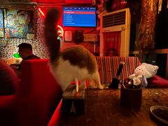 -南京天堂隔壁酒吧