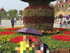 -武清南湖绿博园