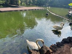 -海南热带野生动植物园