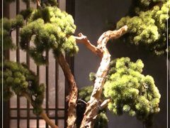 -百富源·海鲜辽菜(浑河堡店)