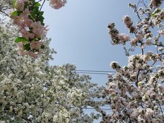 -海棠花溪(元大都城垣遗址公园)