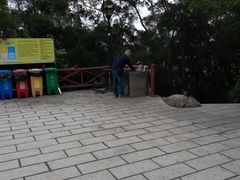 -狐尾山公园