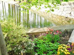 -共青国家森林公园-南大门停车场