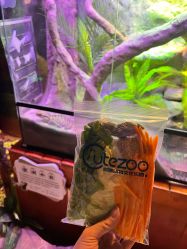 -酷嗒动物文化乐园(cutezoo西溪乐天城店)