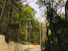 -三门江国家森林公园