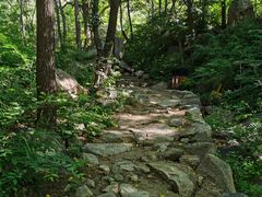 -大岭沟猕猴桃谷风景区