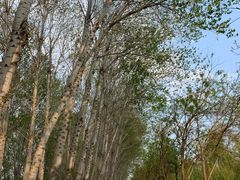 -东郊湿地公园