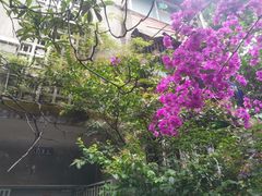 -四川大学(望江校区)