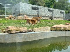 -南京珍珠泉风景区