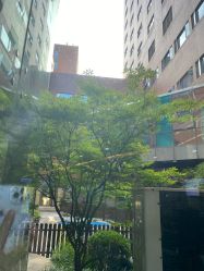 -上海市儿童医院(泸定路院区)