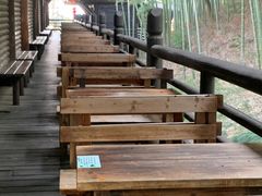 -大唐贡茶院