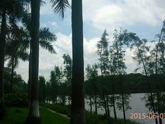 android_upload_pic-三水森林公园
