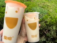 -放哈·甜醅子奶茶创造者(阳光丽景湾店)