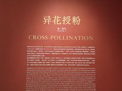 -德基艺术博物馆