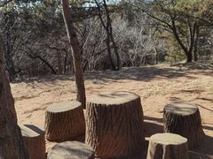 -乌素图国家森林公园