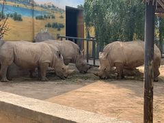 -西安秦岭野生动物园