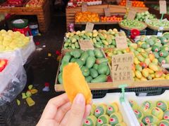-红星农博物流中心