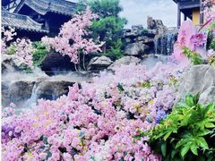 -茅山东方盐湖城景区