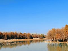 -苏州东太湖生态园