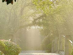 -桃花岛景观公园