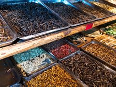 -昆虫窝子·特色云南菜(拓东路总店)