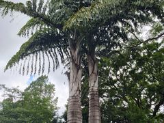 -昆明市金殿名胜区