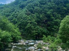-石台牯牛降景区