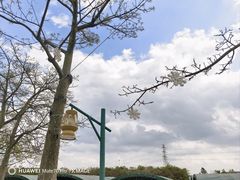 -盈香心动乐园
