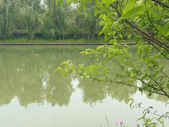 -同里国家湿地公园