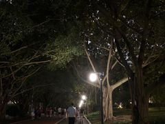 -南宁南湖公园