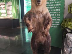 -昆明动物博物馆