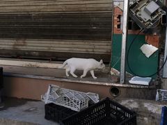 -亮佳鸿华二手市场