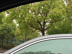 -大场体育中心羽毛球馆